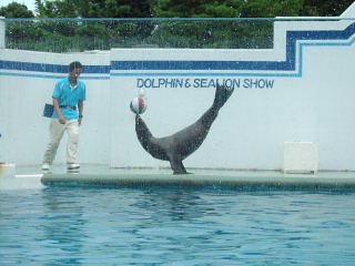 20090812-1.jpg