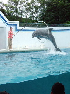 20090812-2.jpg