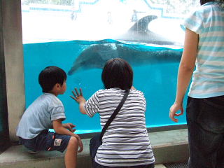 20090812-3.jpg