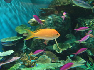 20090812-4.jpg