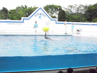 20090812-6.jpg